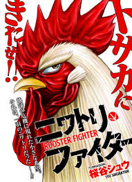 Rooster Fighter